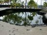 por62_640.JPG