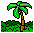 palm tree icon pic